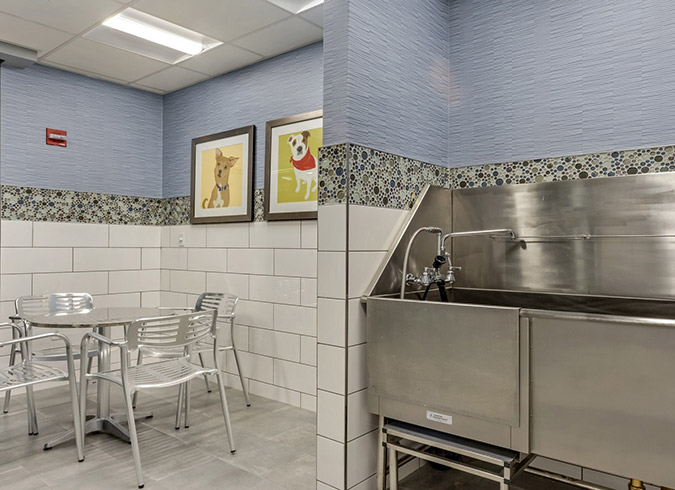Vivo Apartments - Cambridge, MA - Pet Spa